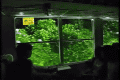 R0010418.gif