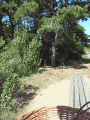 R0011776.gif