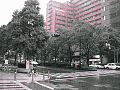 05.jpg