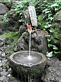 CRW_1513.jpg