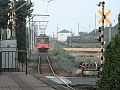 CRW_1967.jpg