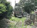 CRW_2059.jpg