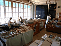 CRW_2070.jpg