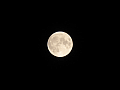 CRW_2249.jpg