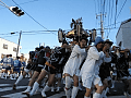 CRW_2339.jpg