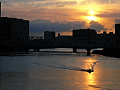 CRW_2382.jpg