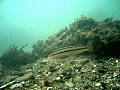 CRW_2607.jpg