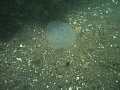 CRW_2614.jpg