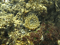 CRW_2622.jpg