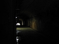CRW_2671.jpg