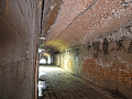 CRW_2675.jpg