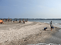 CRW_2705.jpg