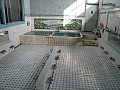 CRW_2803.jpg
