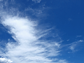 CRW_3251.jpg