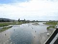 CRW_3328.jpg
