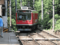 CRW_3362.jpg