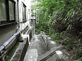 CRW_3367.jpg