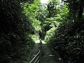 CRW_3368.jpg