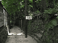 CRW_3375.jpg