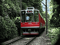 CRW_3376.jpg