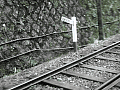 CRW_3433.jpg