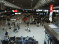 CRW_3676.jpg
