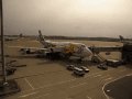 CRW_3682.jpg