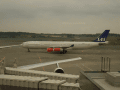 CRW_3685.jpg