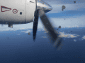 CRW_3760.jpg
