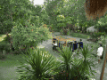 CRW_3766.jpg