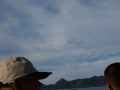 CRW_3774.jpg