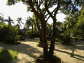 CRW_3864.jpg