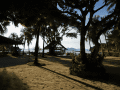 CRW_3865.jpg