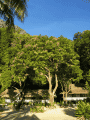 CRW_3881.jpg