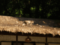 CRW_3884.jpg