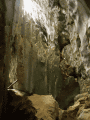 CRW_3948.jpg
