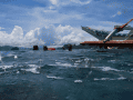 CRW_3976.jpg
