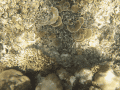 CRW_3988.jpg