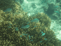 CRW_4023.jpg