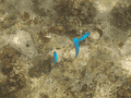 CRW_4030.jpg