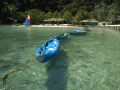 CRW_4074.jpg
