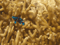 CRW_4223.jpg