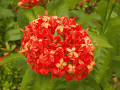 CRW_4234.jpg