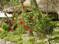 CRW_4272.jpg