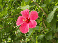 CRW_4273.jpg