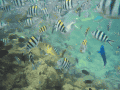 CRW_4314.jpg