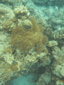 CRW_4369.jpg
