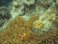 CRW_4378.jpg