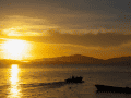 CRW_4493.jpg