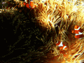 CRW_4531.jpg